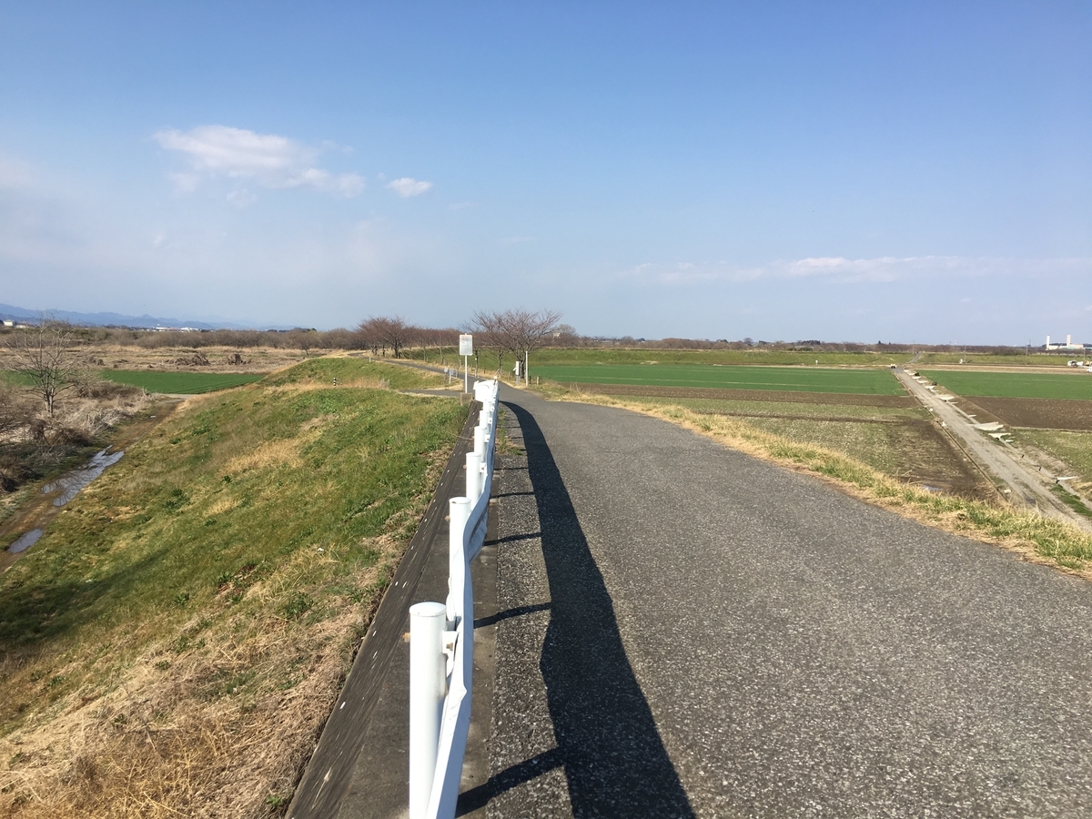 f:id:tuneniwaraio:20190314144148j:plain