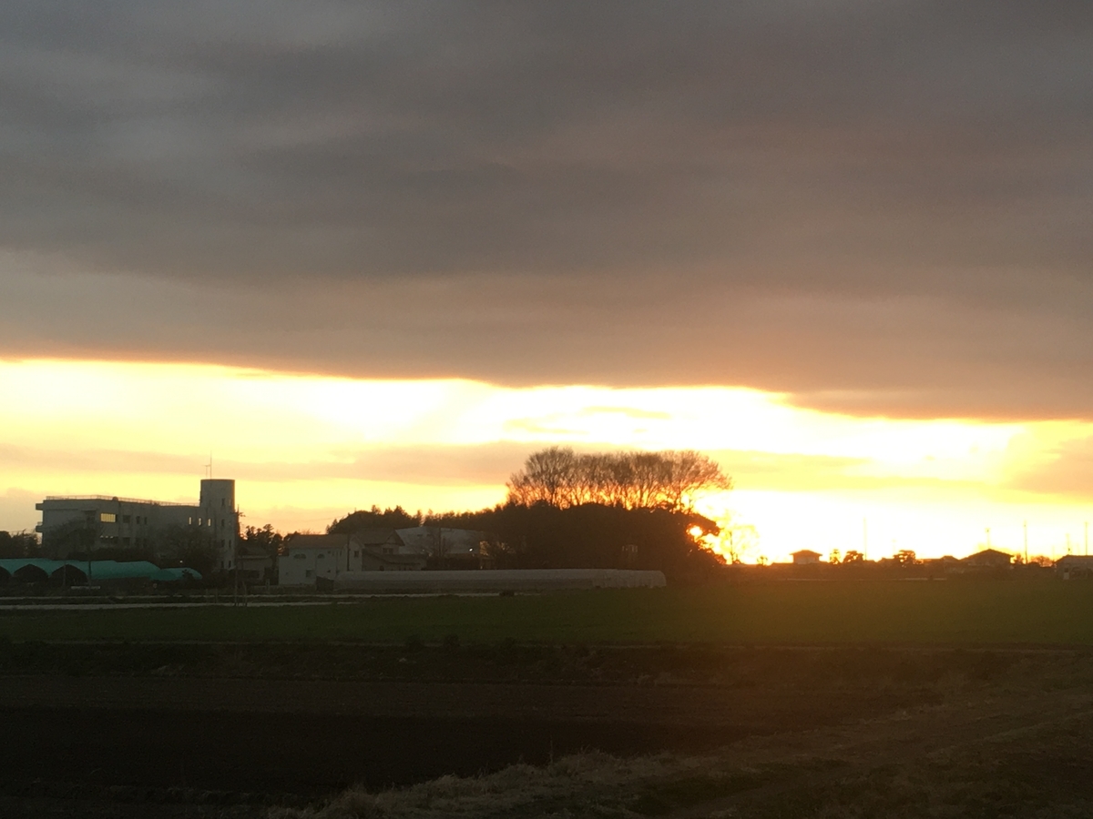 f:id:tuneniwaraio:20190326180459j:plain