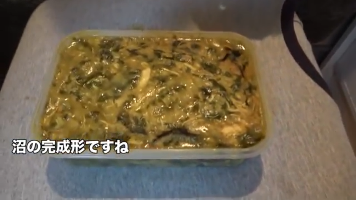 f:id:tuneniwaraio:20190326202219p:plain