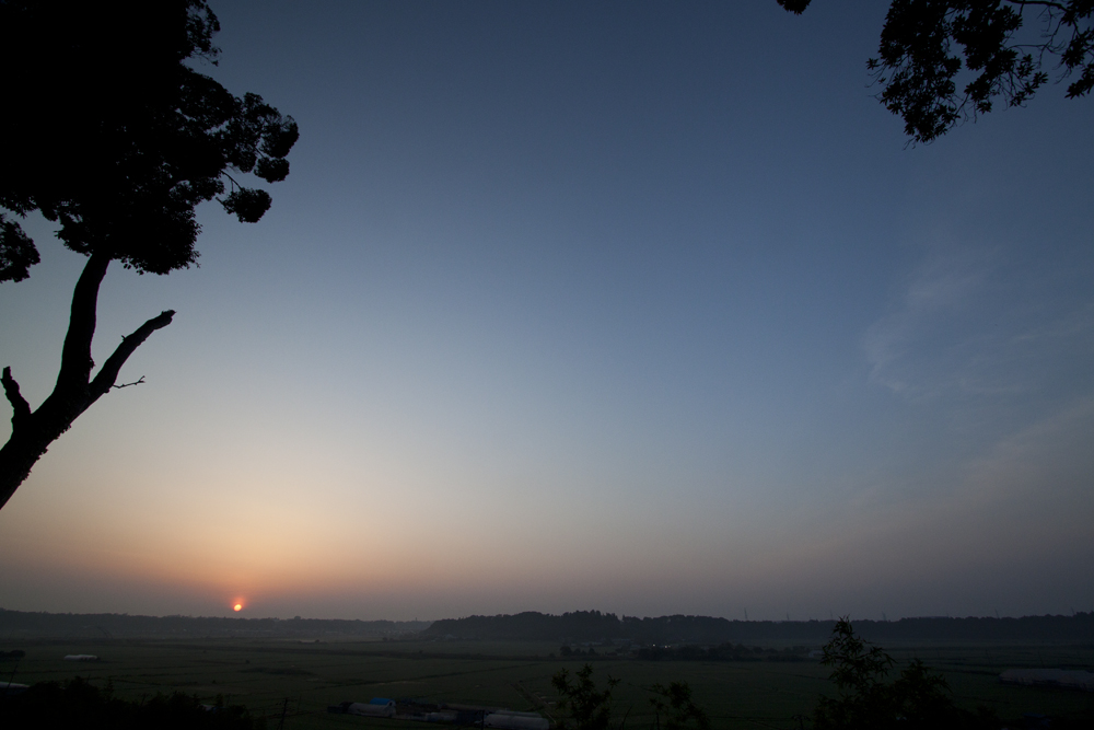 f:id:tupichan:20200609043557j:plain f:id:tupichan:20200609043557j:plain