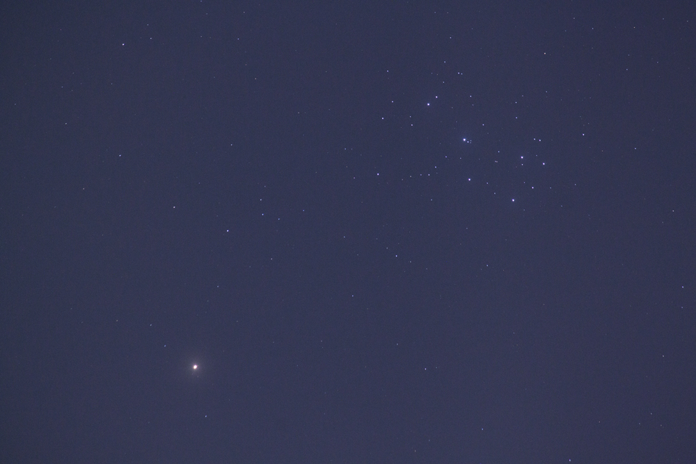 f:id:tupichan:20210303193854j:plain