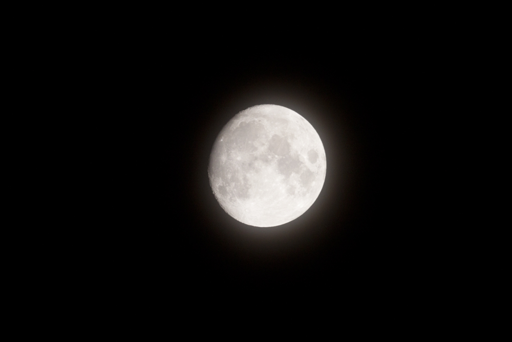 f:id:tupichan:20211018211208j:plain