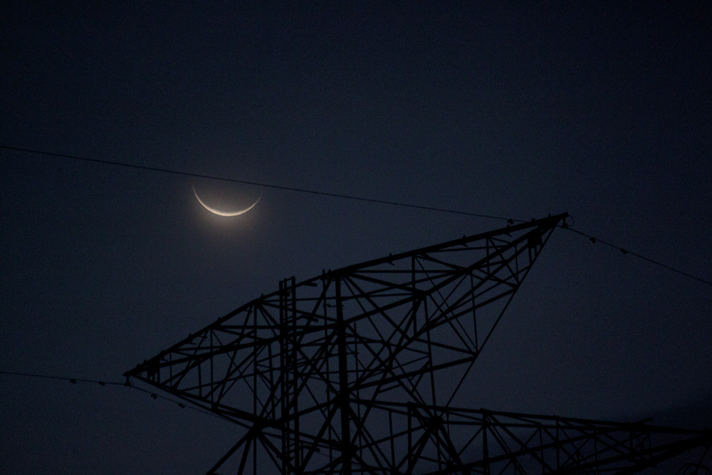 f:id:tupichan:20211103052549j:plain