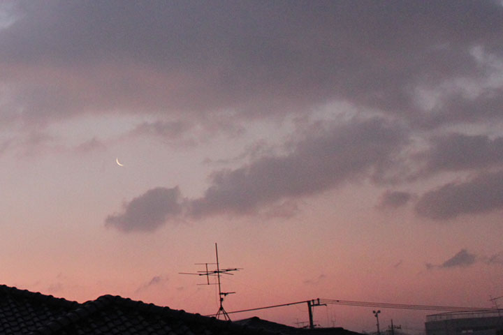 f:id:tupichancosmos:20100113063658j:image