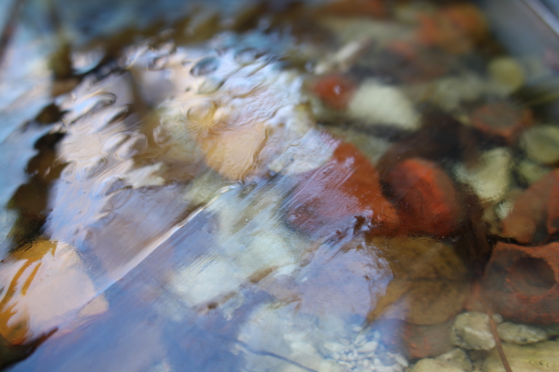 f:id:tupichancosmos:20131228092303j:image f:id:tupichancosmos:20131228092303j:image