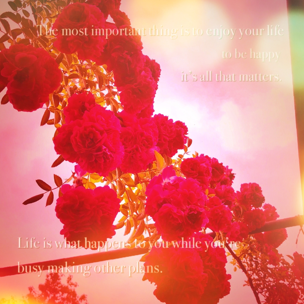 f:id:turachy:20190709215521j:plain f:id:turachy:20190709215521j:plain