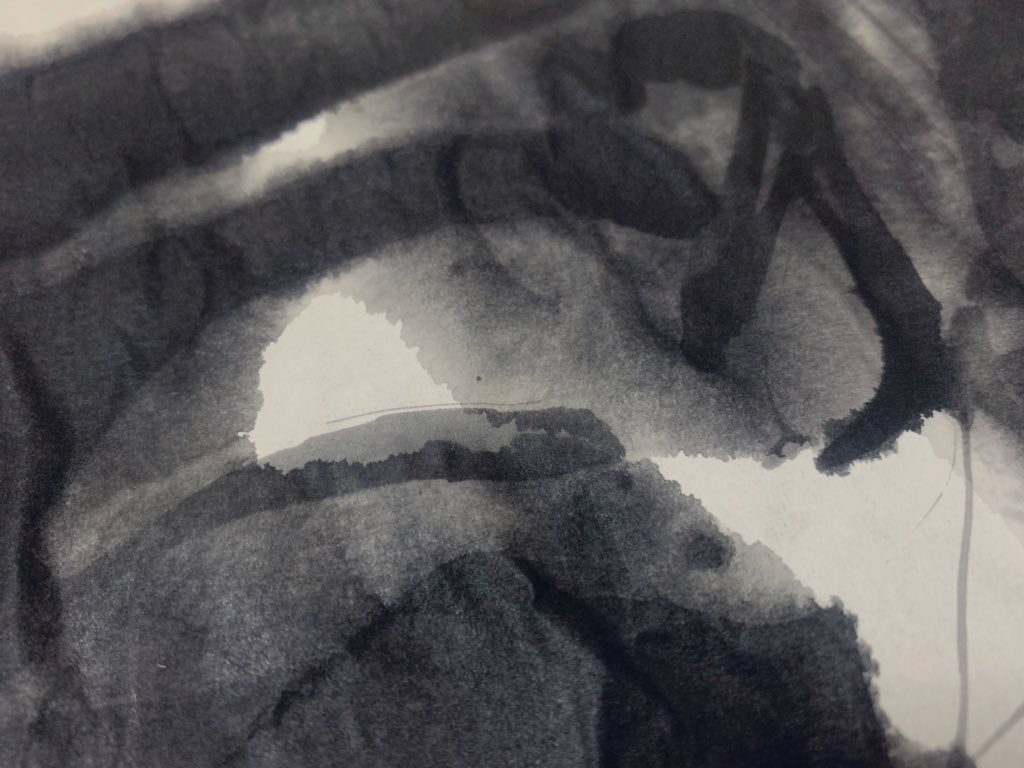 f:id:turara_an755:20200112233724j:image f:id:turara_an755:20200112233724j:image