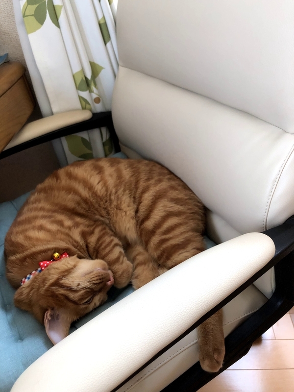f:id:tureneko:20190616194756j:plain f:id:tureneko:20190616194756j:plain