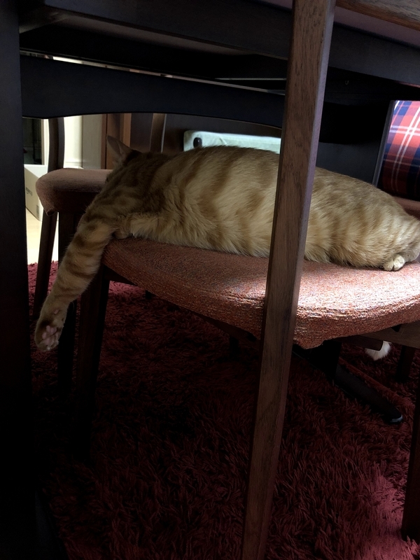 f:id:tureneko:20190622200025j:plain f:id:tureneko:20190622200025j:plain