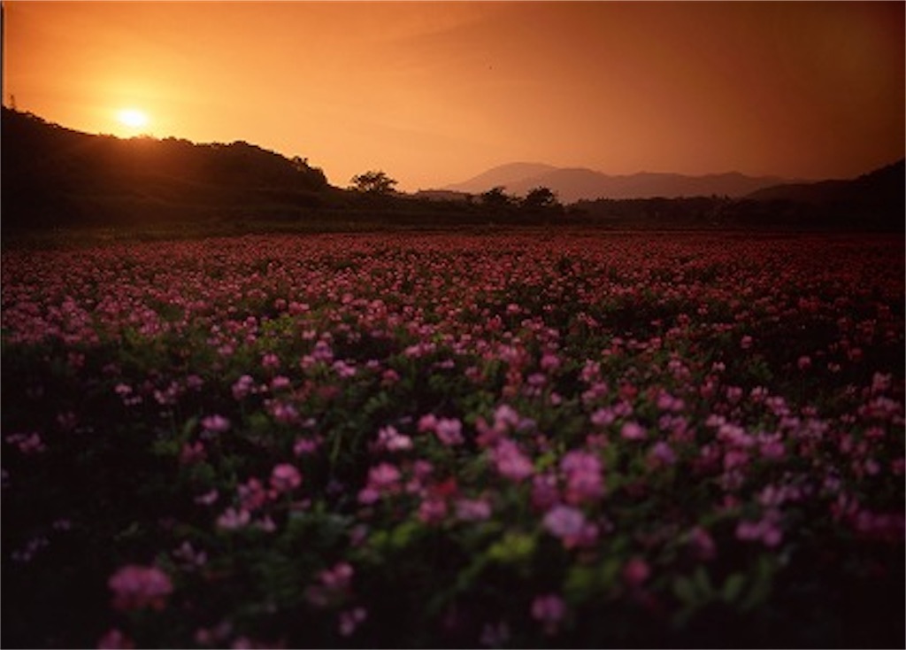 f:id:tureture30:20190604064734j:image
