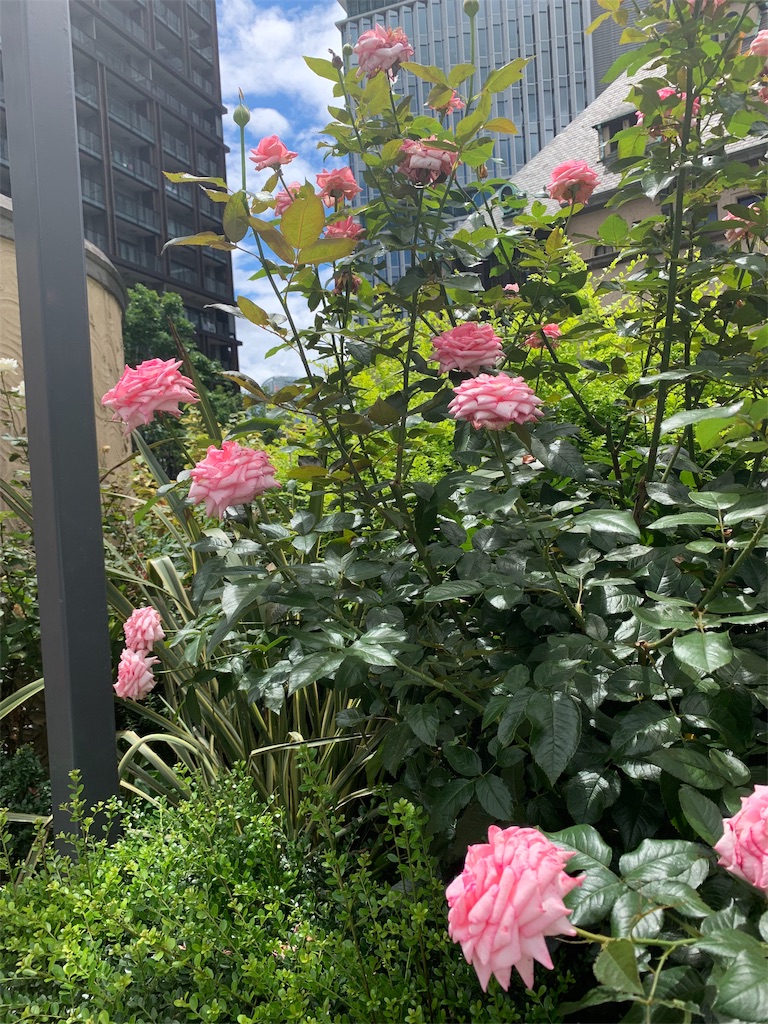 f:id:tureture30:20190907072106j:image f:id:tureture30:20190907072106j:image