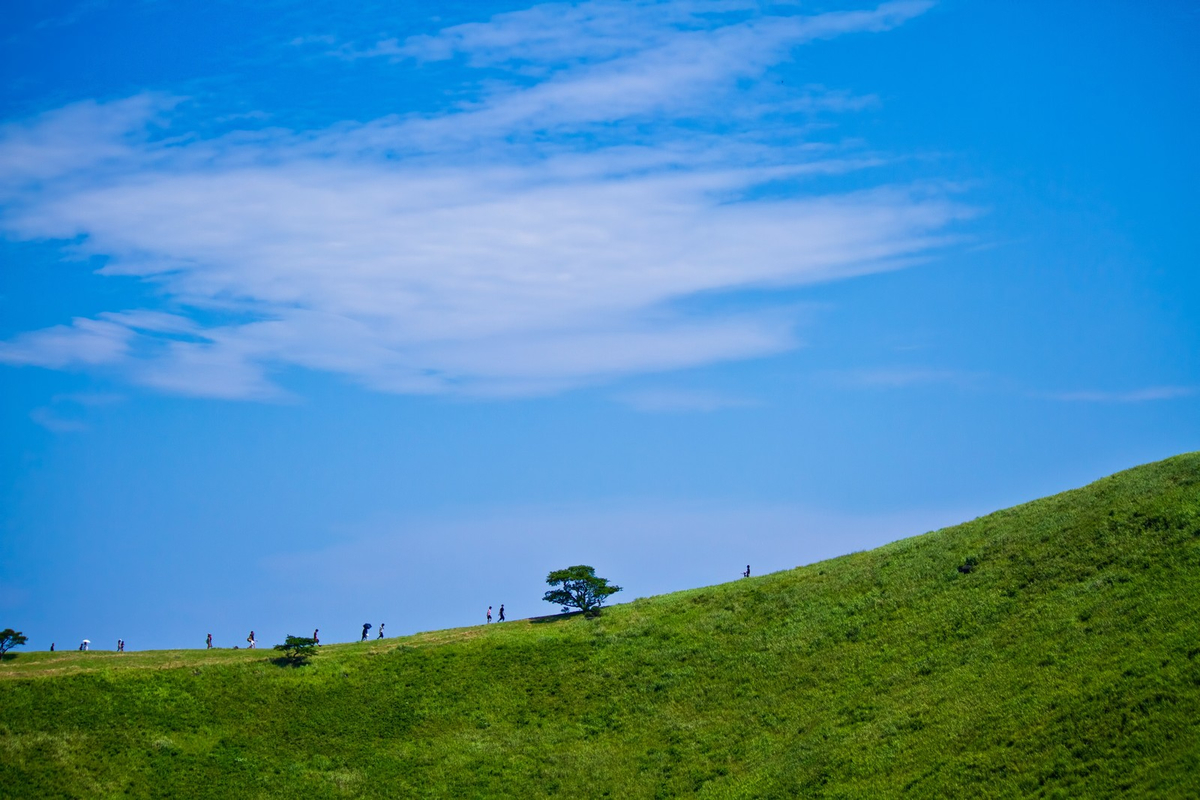 f:id:turezure4510:20190501083015j:plain f:id:turezure4510:20190501083015j:plain