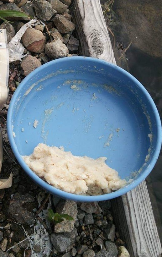 f:id:turibakapapa:20200412185143j:plain