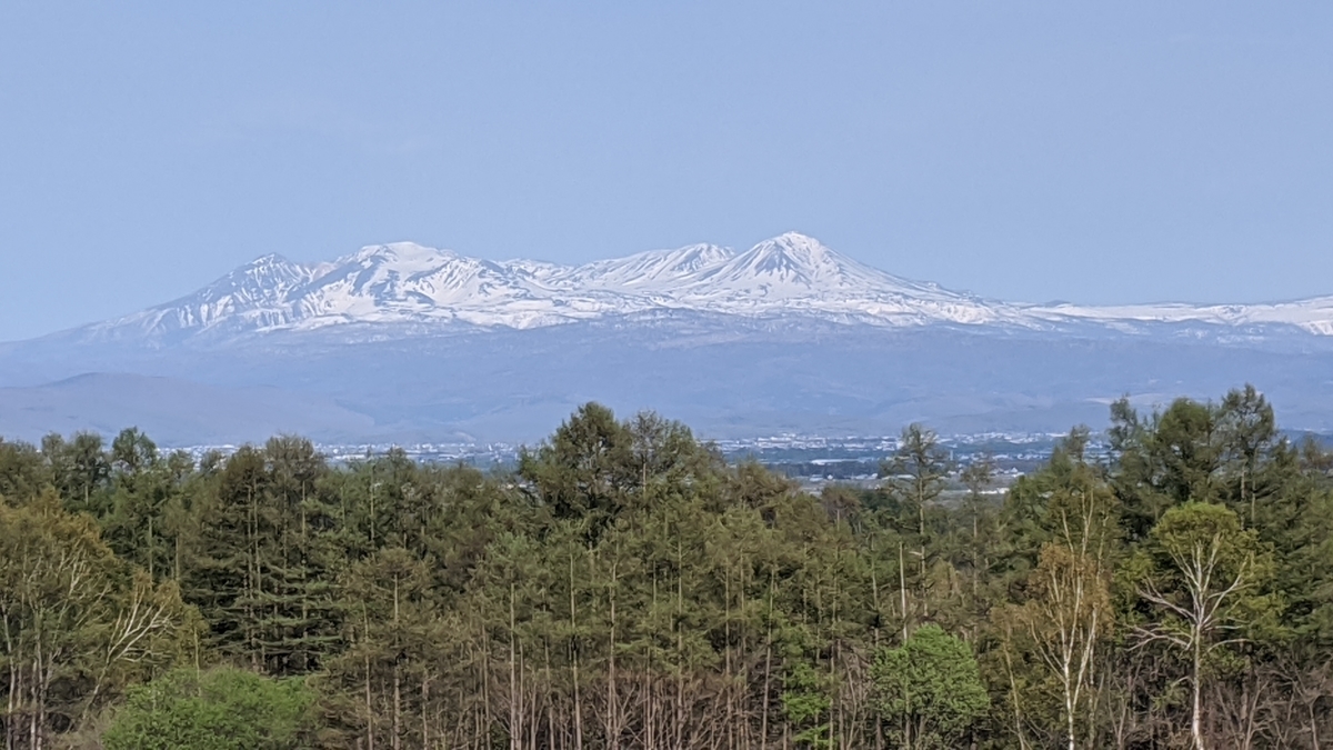 f:id:turibakapapa:20200512193020j:plain