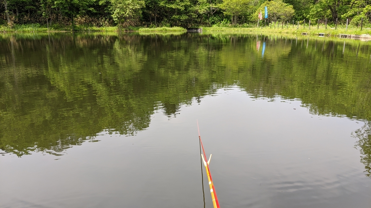 へらぶな釣り夏のかってに単品両だんご5選 とーちゃん子育てと釣り日記
