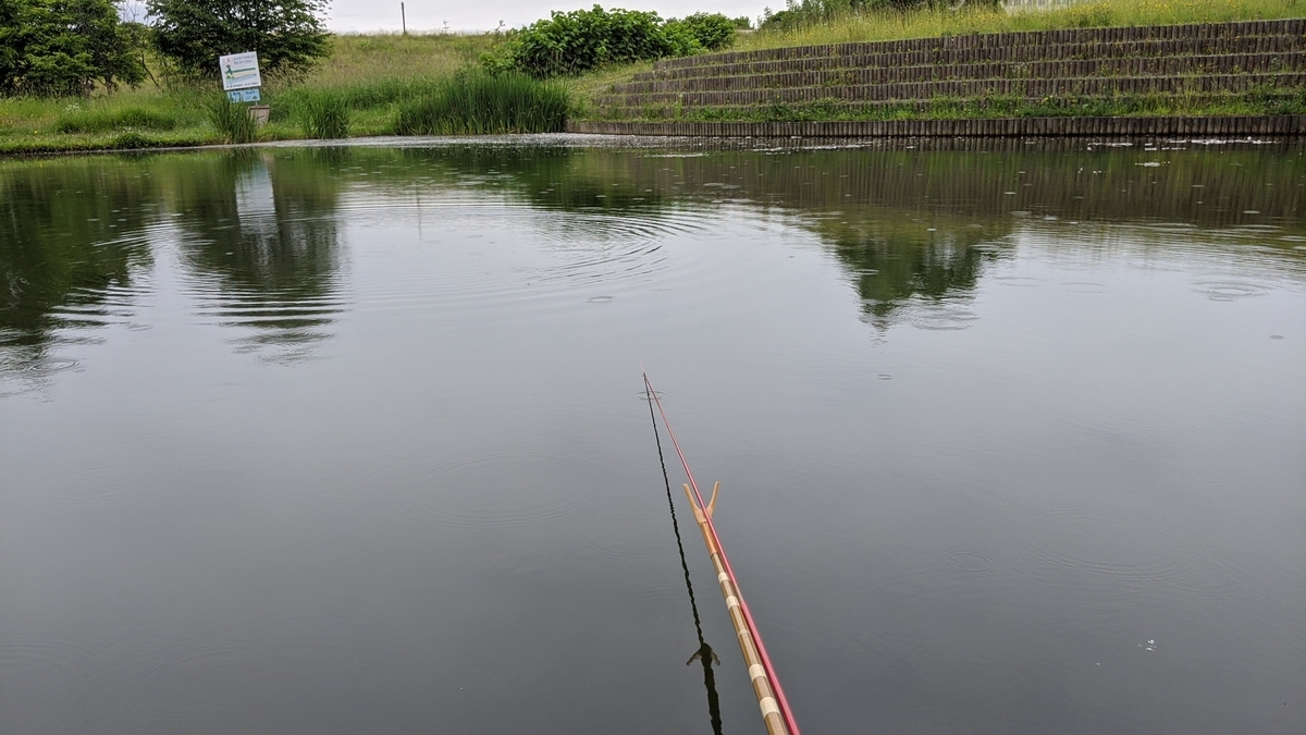 f:id:turibakapapa:20200626170225j:plain f:id:turibakapapa:20200626170225j:plain