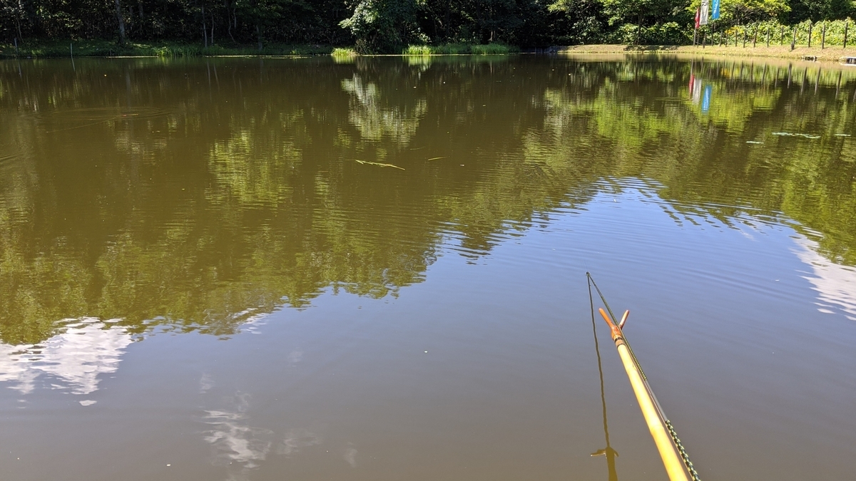 f:id:turibakapapa:20200818054100j:plain f:id:turibakapapa:20200818054100j:plain