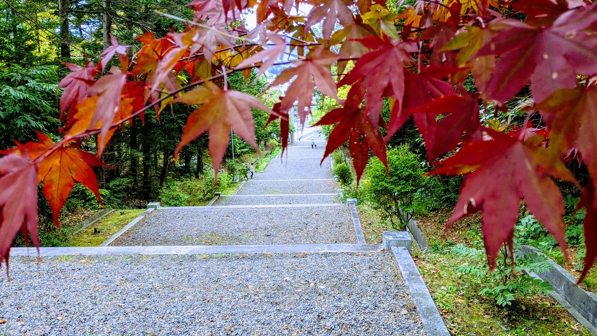 f:id:turibakapapa:20201005224039j:plain
