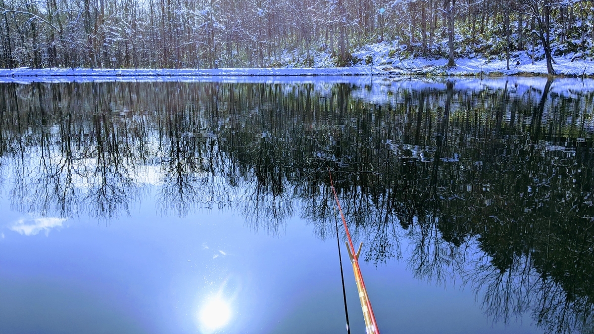 f:id:turibakapapa:20201112162134j:plain