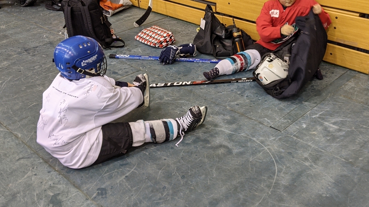 年明け３回目 小学生双子女子アイスホッケーの練習 とーちゃん子育てと釣り日記