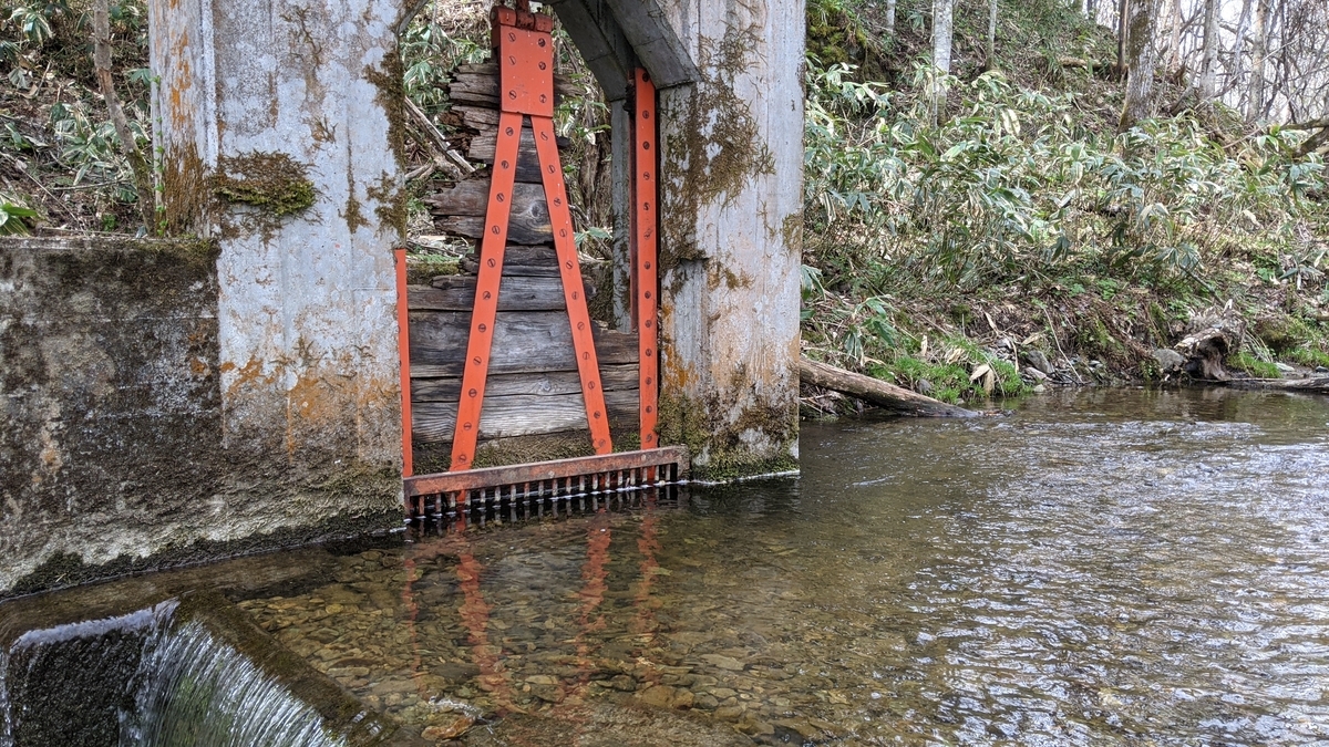 f:id:turibakapapa:20210513174214j:plain