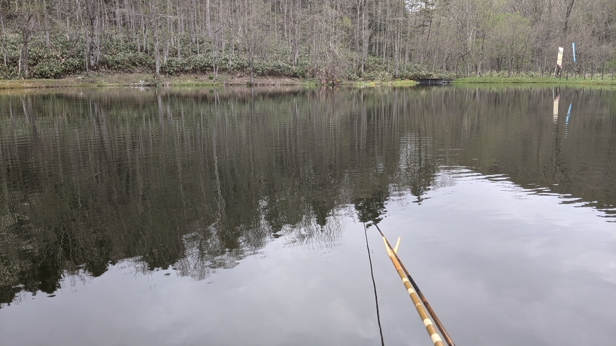 f:id:turibakapapa:20210513175644j:plain