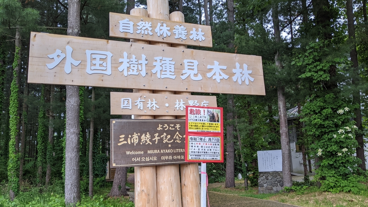 f:id:turibakapapa:20210620082512j:plain