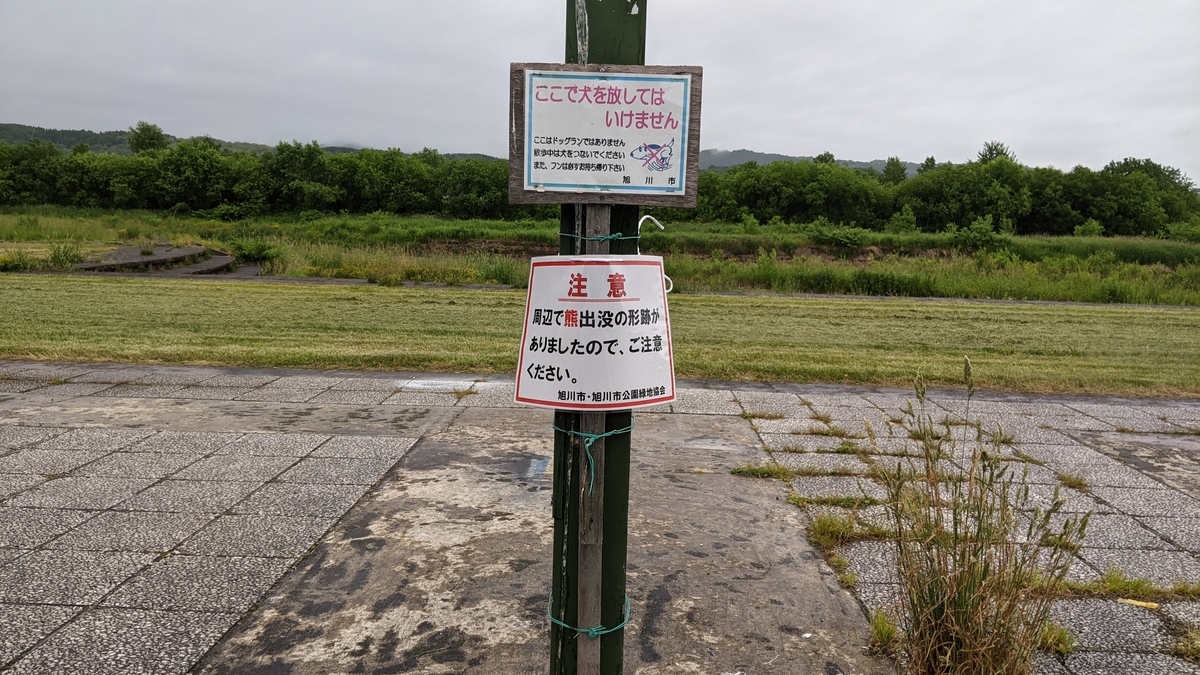 f:id:turibakapapa:20210620084008j:plain