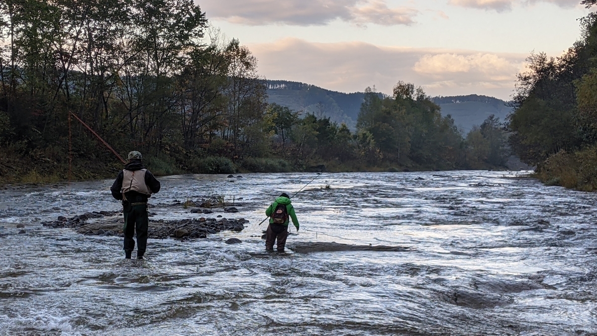 f:id:turibakapapa:20211005225433j:plain