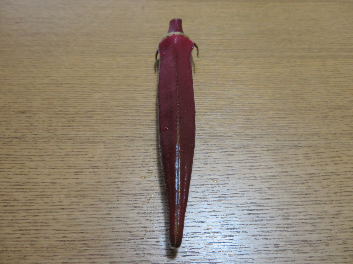 f:id:turiensya:20200725165411j:plain