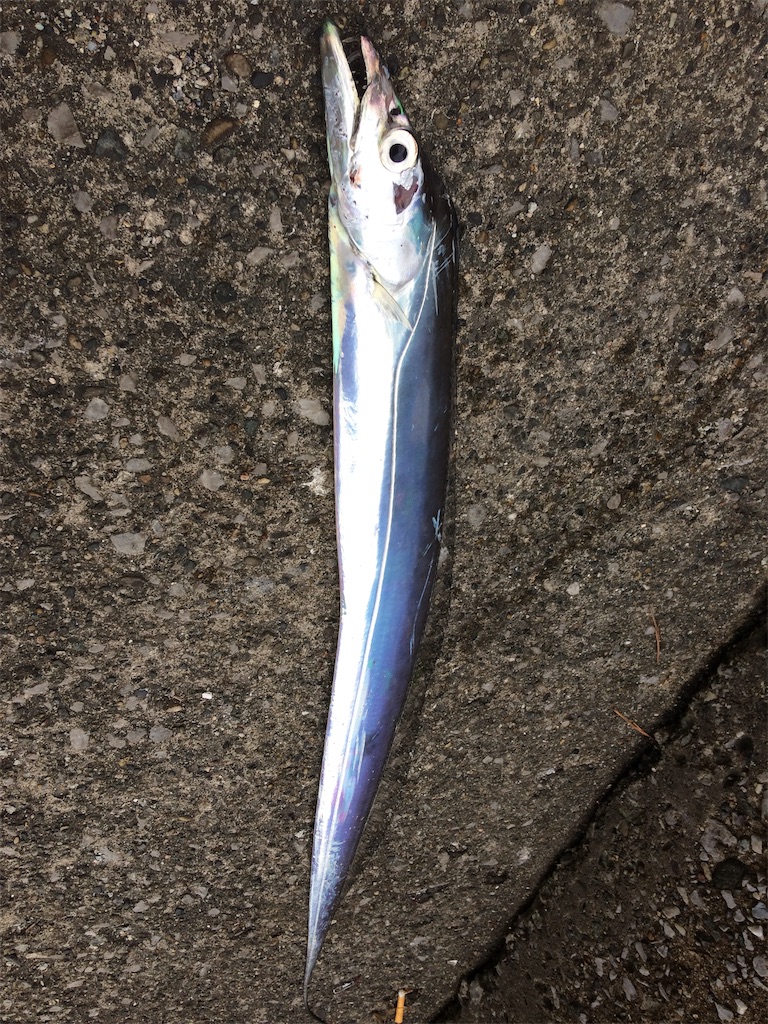 f:id:turiheta:20190827002608j:image f:id:turiheta:20190827002608j:image