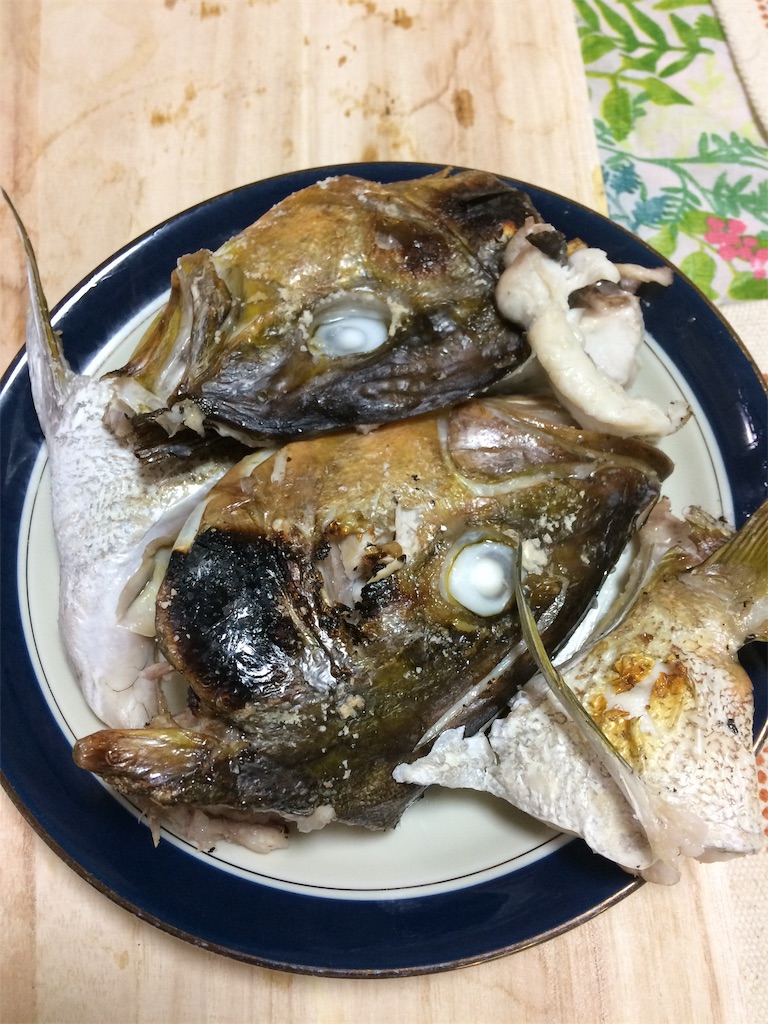 4日目のカンパチ 千葉 湾奥 民の釣り日記
