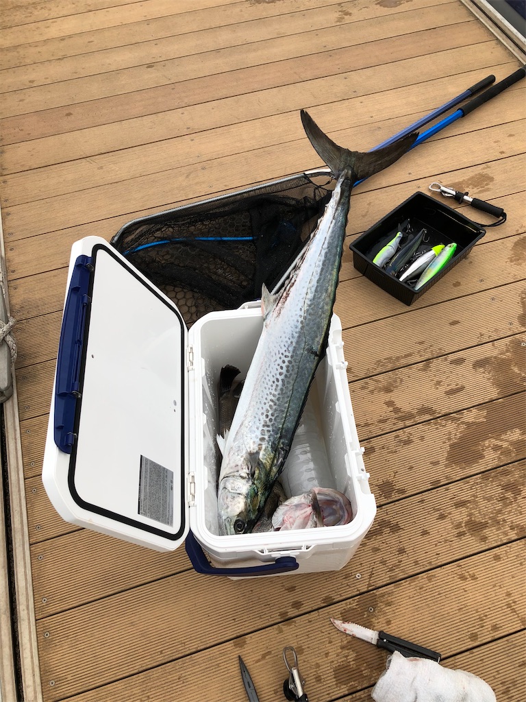 ブリは釣れたかな 19 12 09 千葉 湾奥 民の釣り日記
