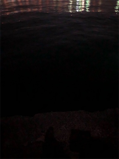 f:id:turiheta:20201005095004j:image f:id:turiheta:20201005095004j:image