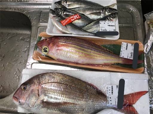 鱗とゼイゴを取らないアジの3枚おろしが凄い 千葉 湾奥 民の釣り日記