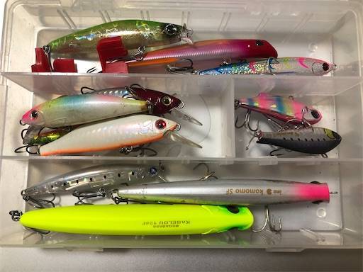 シーバスが釣れない原因が判明 千葉 湾奥 民の釣り日記