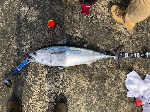 f:id:turiheta:20210614182342j:plain