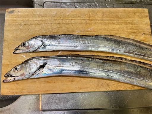 f:id:turiheta:20221112211443j:image f:id:turiheta:20221112211443j:image