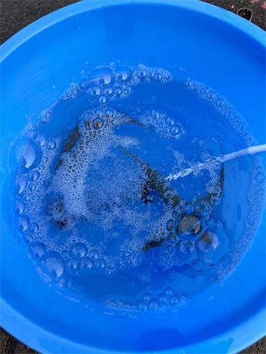 f:id:turiheta:20221124195919j:image f:id:turiheta:20221124195919j:image