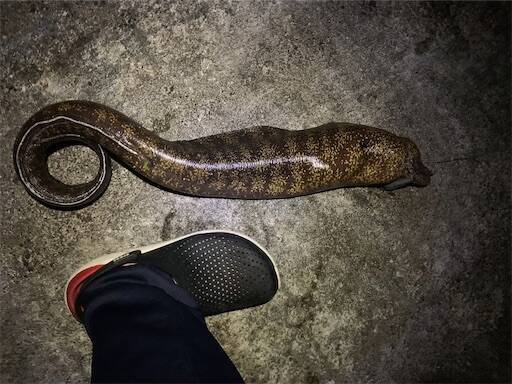 f:id:turiheta:20230918190237j:image f:id:turiheta:20230918190237j:image