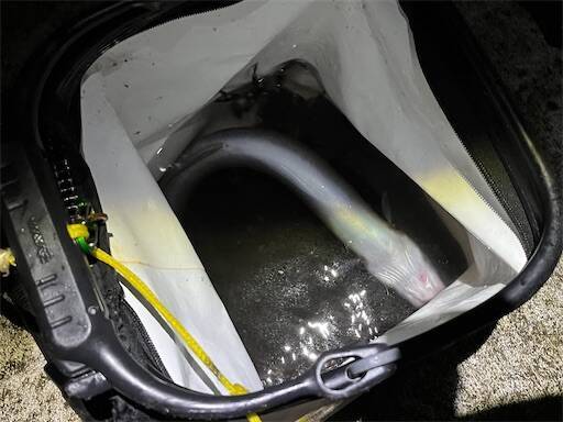 f:id:turiheta:20230918190733j:image f:id:turiheta:20230918190733j:image