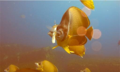 f:id:turiheta:20230918203301j:image f:id:turiheta:20230918203301j:image