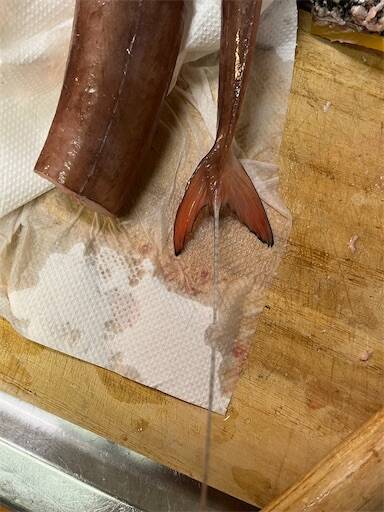 f:id:turiheta:20231228004727j:image f:id:turiheta:20231228004727j:image