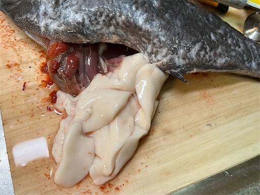 f:id:turiheta:20240320225313j:image f:id:turiheta:20240320225313j:image