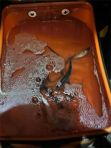 f:id:turiheta:20240502221132j:image f:id:turiheta:20240502221132j:image