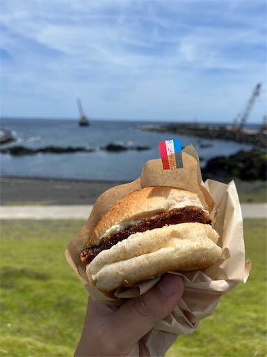 f:id:turiheta:20240616160828j:image f:id:turiheta:20240616160828j:image