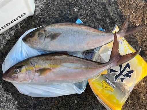 f:id:turiheta:20240708161404j:image f:id:turiheta:20240708161404j:image