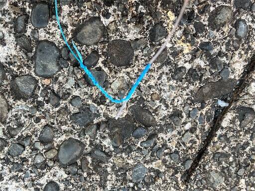 f:id:turiheta:20240910090900j:image f:id:turiheta:20240910090900j:image