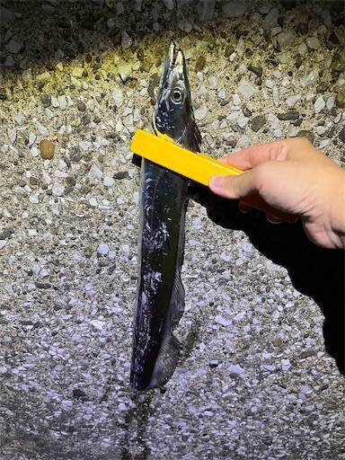 f:id:turiheta:20240929230815j:image f:id:turiheta:20240929230815j:image