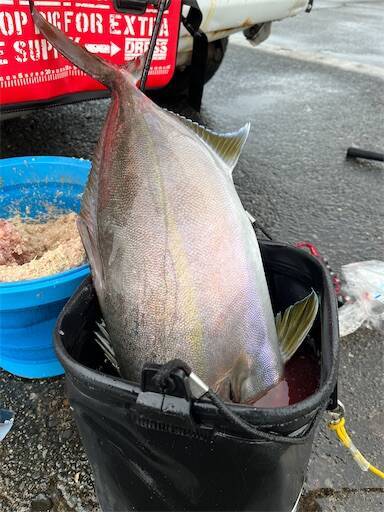 f:id:turiheta:20241029125540j:image f:id:turiheta:20241029125540j:image